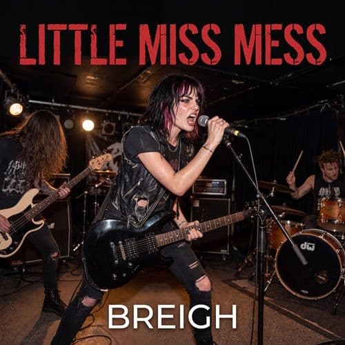 Little Miss Mess cover art